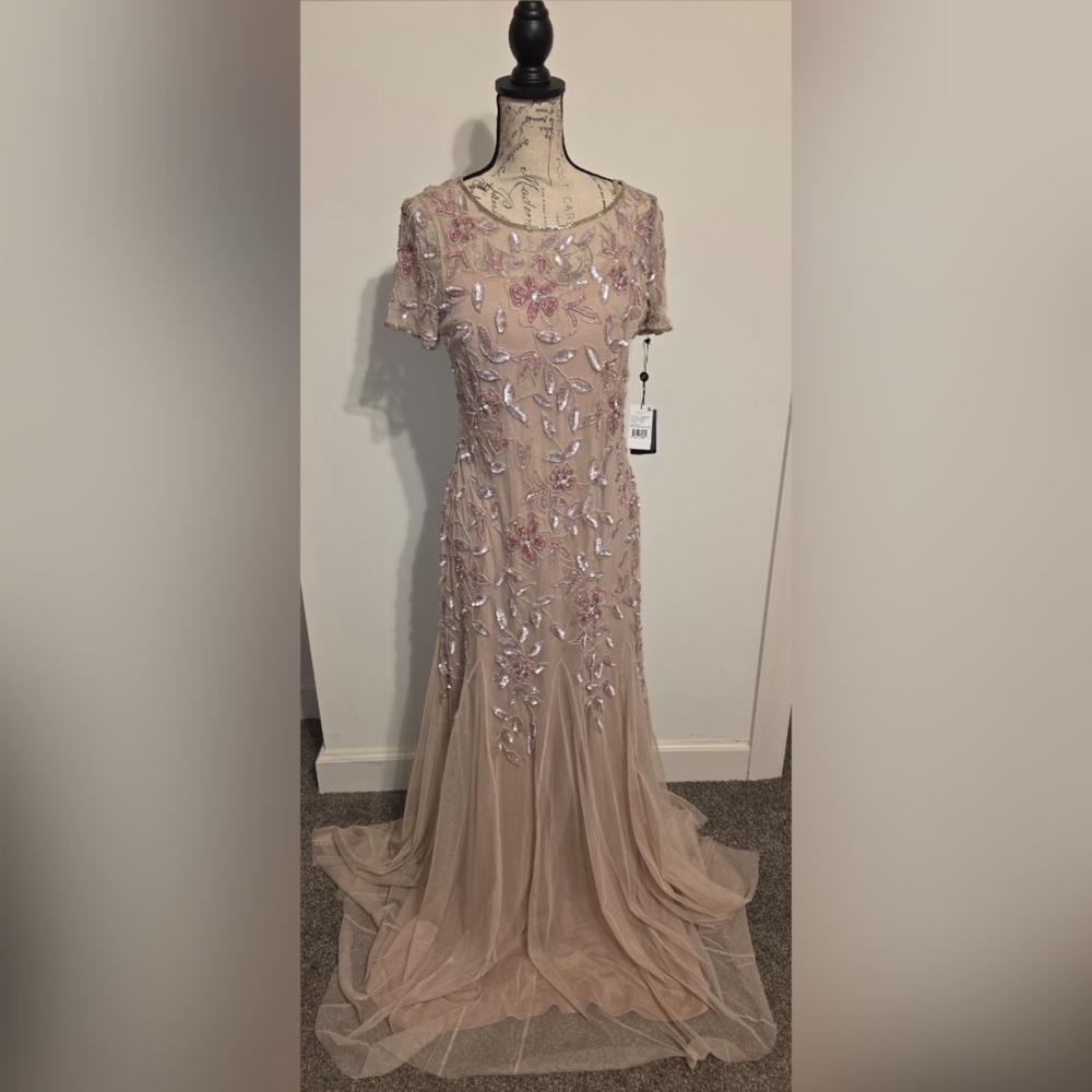 Adrianna Papell Blush Embellished Maxi Dress